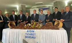 Aydın'da sezonun ilk kestanesi 550 TL'den alındı