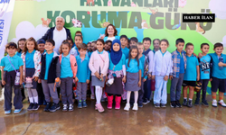 Dünya Hayvanları Koruma Günü Didim'de etkinliklerle kutlanıyor