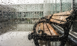 Aydın'da bugün hava gün boyu yağışlı