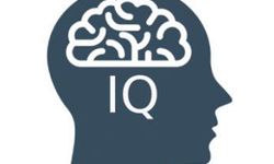 Aydın IQ testinde 36'ncı sırada!