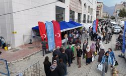 Ata Tohumlarından üretilen fideler Aydınlılara ulaştırılıyor
