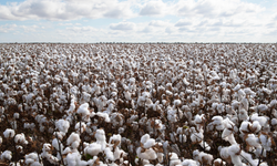 Başkan Çondur: "Üreticilerimizin yükselen ortak sesi dikkate alındı"