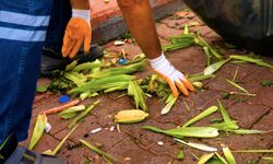 Didim'de pazar atıkları komposta dönüşüyor