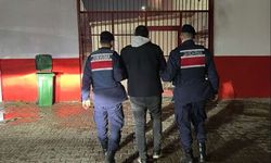 Efeler'deki kaçak define olayında yeni gelişme!