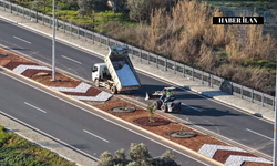 Başkan Çerçioğlu'ndan Acarlar-Şehir Hastanesi yolunda peyzaj düzenlemesi