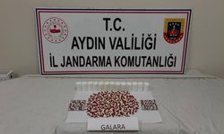 Koçarlı'da bin 53 adet sentetik ecza ele geçirildi