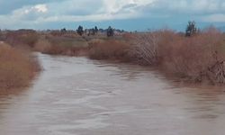 Menderes Nehri, son yağışların ardından taşma noktasına geldi!