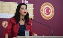Emek Partisi Milletvekili Sevda Karaca'dan Bahar Taş için çağrı!
