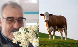 Koçarlı'da bir çiftçi, kayıp hayvanlarını bulana 100 bin lira ödül verecek!