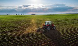 Tarım sektöründe maliyet artışları yükseldi!