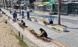 Aydın Büyükşehir Belediyesi'nin çevre düzenleme ve bakım çalışmaları sürüyor