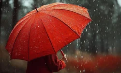 Aydın'da yağış etkisini sürdürüyor