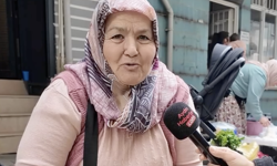 Mis sümbülünü Aydınlı Hacer abla bahçesinde yetiştiriyor