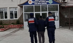 Aydın'da 208 kök hint keneviri ele geçirildi