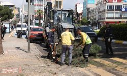 Aydın’ın yeşil dokunuşunu geleceğe taşıyan çalışma