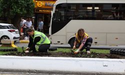Başkan Çerçioğlu Kurban Bayramı öncesinde Aydın'ı doğanın rengarenk tonları ile süslüyor