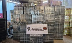 Aydın’da sahte zeytinyağı operasyonunda milyonluk ürün ele geçirildi