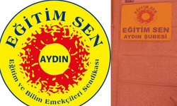 Eğitim Sen’den Irmak Ayşe Koparan açıklaması: “Sürecin takipçisiyiz!”