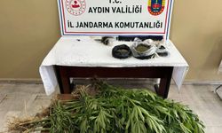 Efeler’de uyuşturucu ve yasa dışı kenevir operasyonu