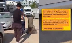 Didim Belediyesi ekiplerinin sahipli yavru köpekleri topladığı iddiası tepki çekti