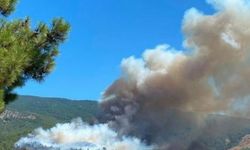 Çine’de yangınla mücadelede su tankeri olan vatandaşlardan destek çağrısı!