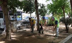 Aydın'ın park ve yeşil alanları yenileniyor