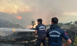 Aydın Büyükşehir Belediyesi İtfaiyesi 1 haftada 446 yangına müdahale etti