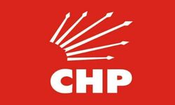 CHP'de yurt dışı örgütlenmesine Aydınlı isim görevlendirildi