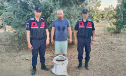Germencik'te incir hırsızı suçüstü yakalandı