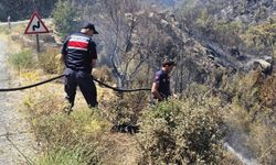 Jandarma yangın bölgesinde tahliyeyi tamamladı