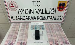 Bozdoğan'da yaşlı vatandaşın evini soyan 2 şüpheli yakalandı