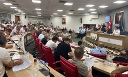 Aydın BŞB Meclisi'nden 'Vektörle mücadele' kararı!