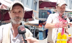 Aydın'da pazarda sinek bandı satan esnaf: "Çok faydası var bunun"