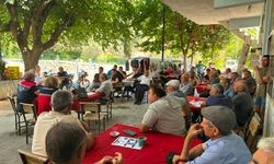 Aydın incirinde yeni sezon öncesi kalite ve üretim seferberliği