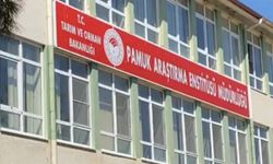 Nazilli Pamuk Araştırma Enstitüsü’ne operasyon!