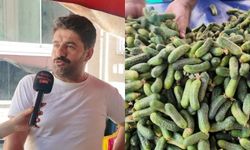 Pazarda turşuluk sezonu başladı
