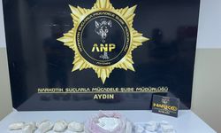 Sultanhisar’da operasyon: Şüpheli tutuklandı!