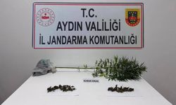 Söke’de narkotik köpeğiyle arama: Evden kenevir ve esrar çıktı