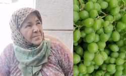 Aydın mutfağında koruğun bilinmeyen lezzeti