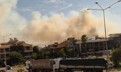 Efeler Güneybatı Otoyol Caddesi yanında yangın!