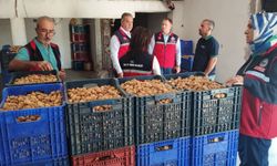 Aydın incirinin marka değeri ve kalitesi için sıkı denetim!