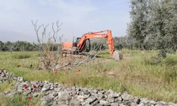 Mahkeme iptal etmişti... Zeytinliklere JES onayı!