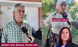 Cincin Mahallesi'ne sarı civciv seferleri başladı!