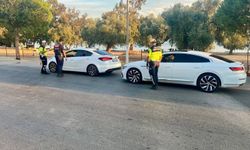 Aydın’da ÇEMBER-146 operasyonu: 31 kişi yakalandı