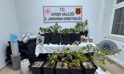 Kuşadası’nda evden skunk üretimi çıktı!