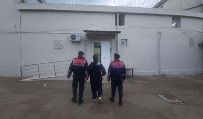 Aydın'da uyuşturucu operasyonları sürüyor