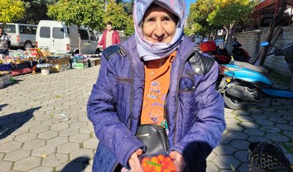 67 yaşındaki Aydınlı Semiha teyze dağ çileği satarak geçiniyor