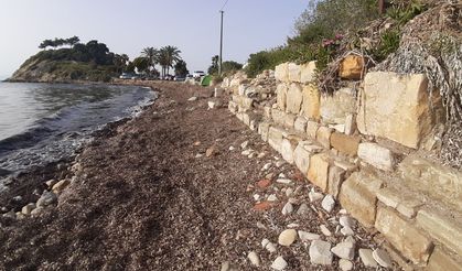 Dalgaların aşındırdığı bölgeden antik döneme ait heykel çıktı