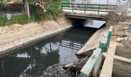Aydın'da atık su tehdidi: Çevre ve halk sağlığı tehlikede!