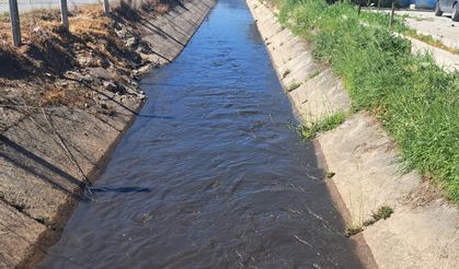 Serçeköy'de sulama kanalına akıtılan kirli su, üreticileri endişelendiriyor!